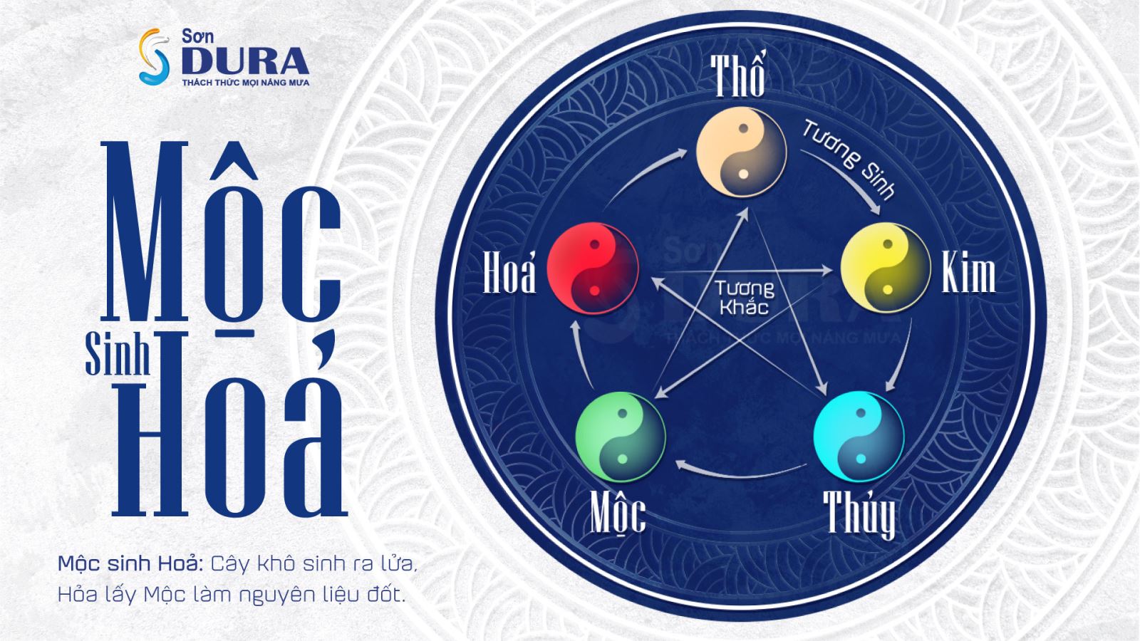 Tìm hiểu về người mệnh Mộc