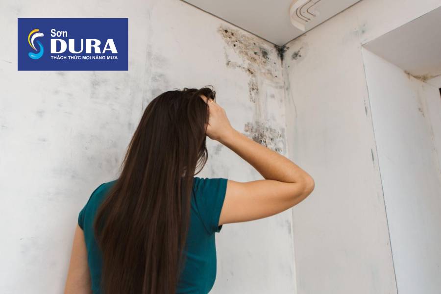 Vì sao phải chống thấm ngược?