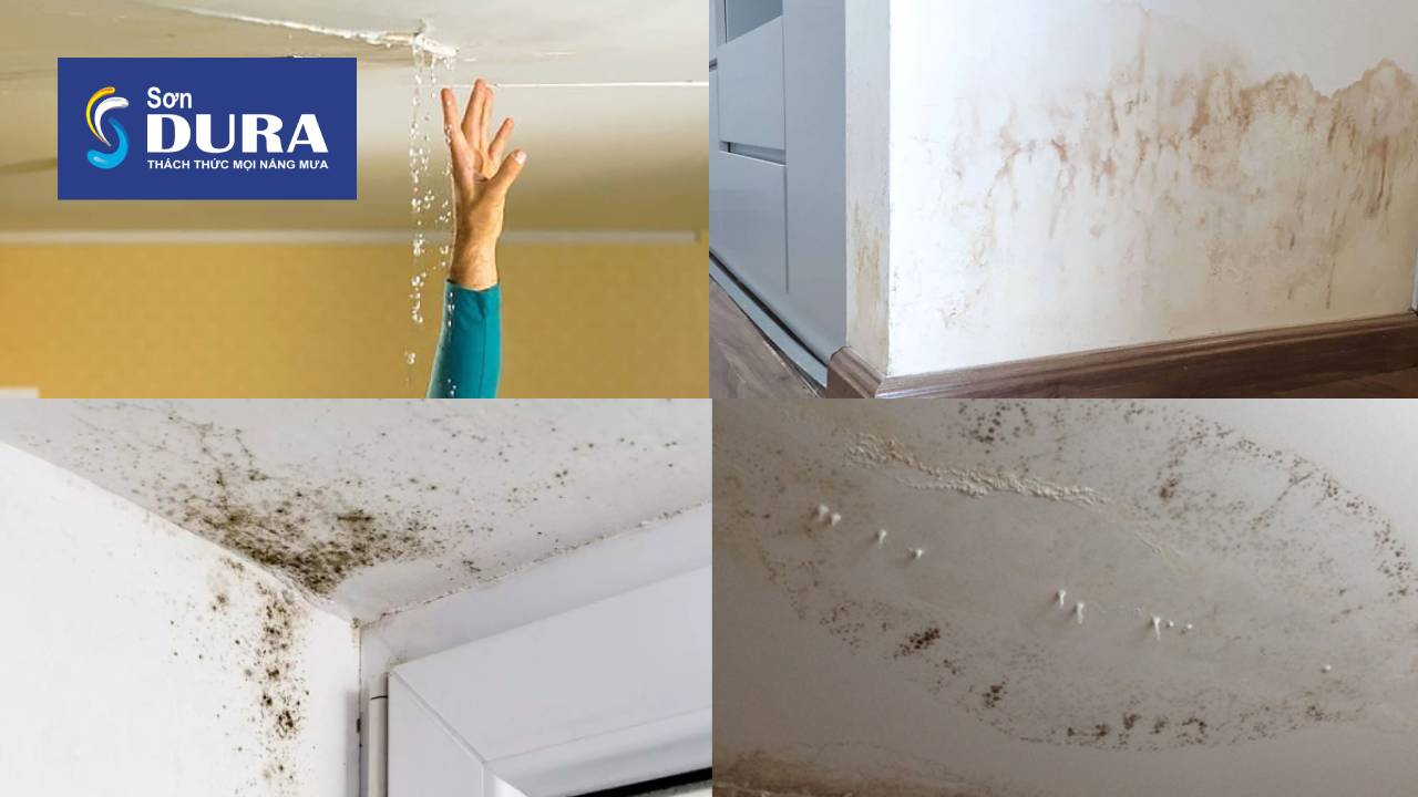 Sự cố thường gặp khi bị thấm dột