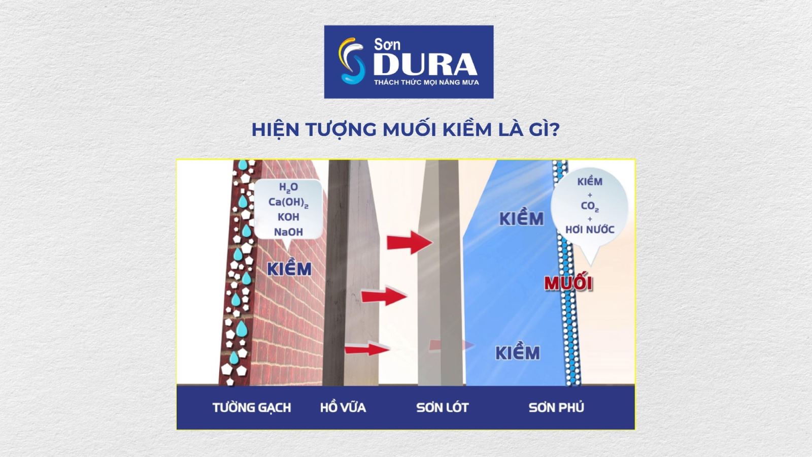 Cơ chế của hiện tượng loang màu sơn do muối kiềm